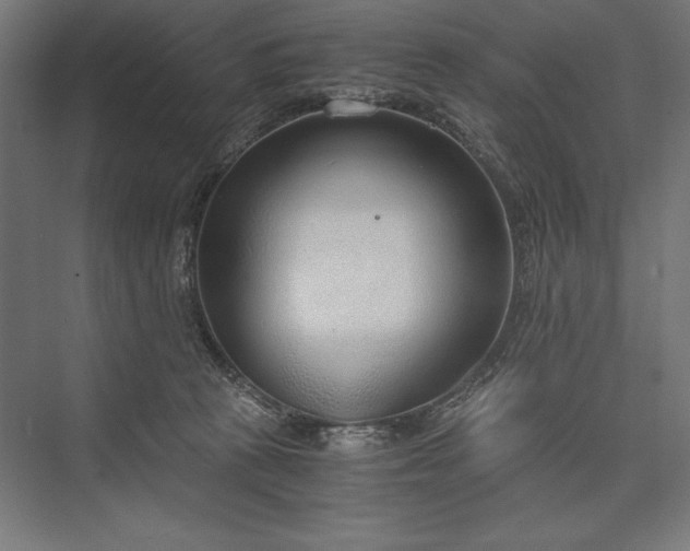 X0000076370273200610061106