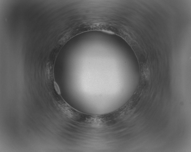 X0000076370276200610061106