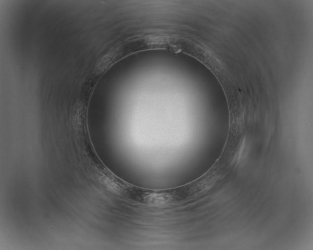 X0000076370277200610061106