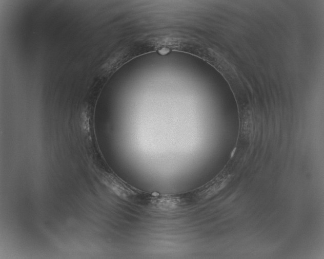 X0000076370282200610061106