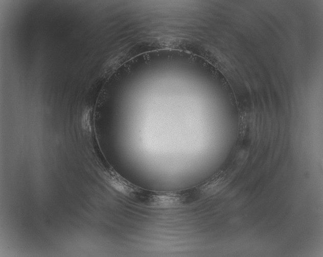 X0000076370286200610061106