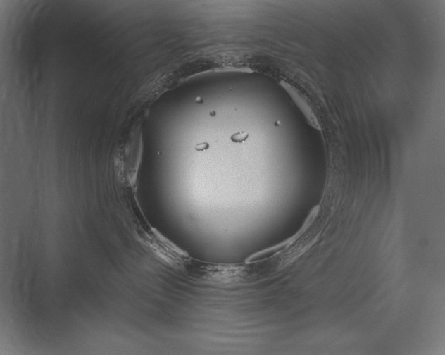 X0000076370288200610061106