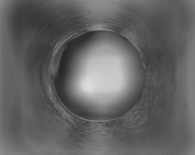 X0000076370289200610061105