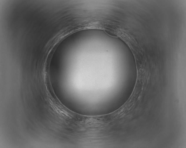 X0000076370290200610061105