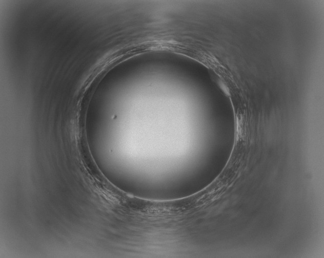 X0000076370291200610061105