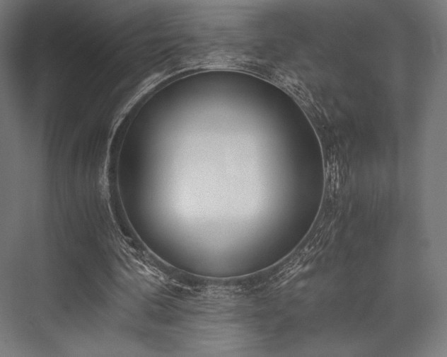 X0000076370292200610061105