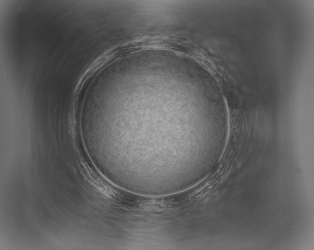 X0000076370293200610061105