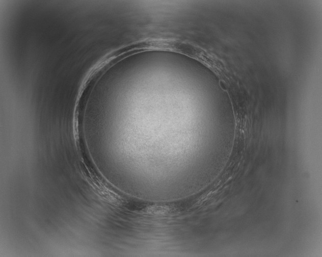 X0000076370294200610061105
