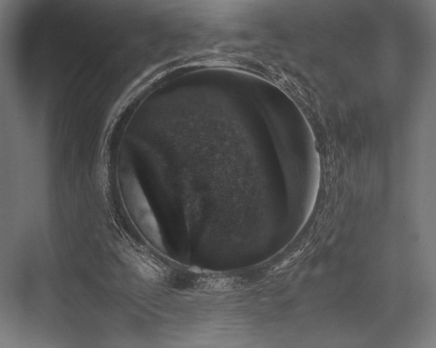 X0000076370295200610061105