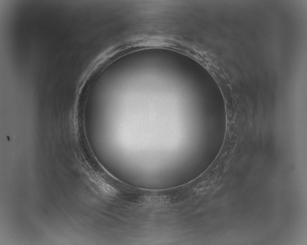 X0000076370296200610061105