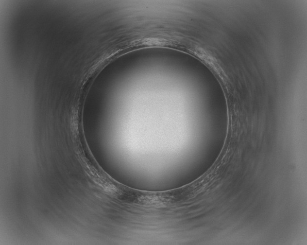X0000076370297200610061105