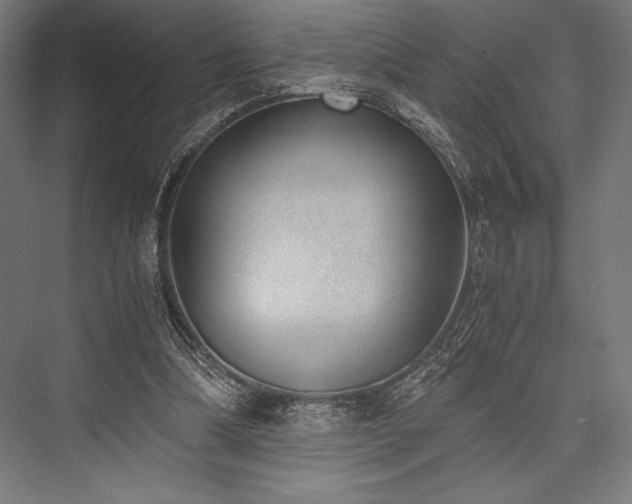 X0000076370298200610061105