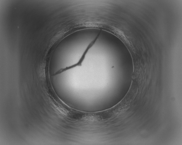X0000076370299200610061105