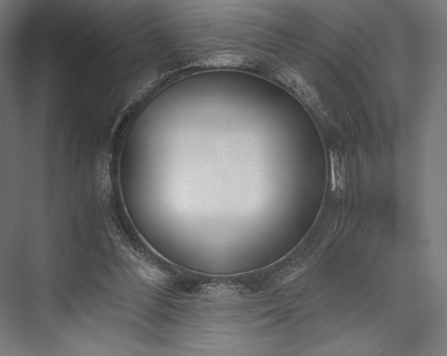 X0000076370300200610061105