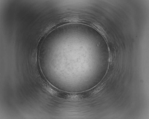 X0000076370301200610061105