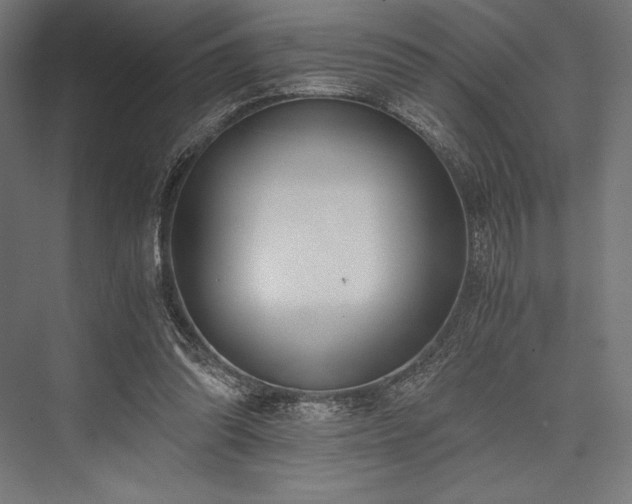 X0000076370302200610061105