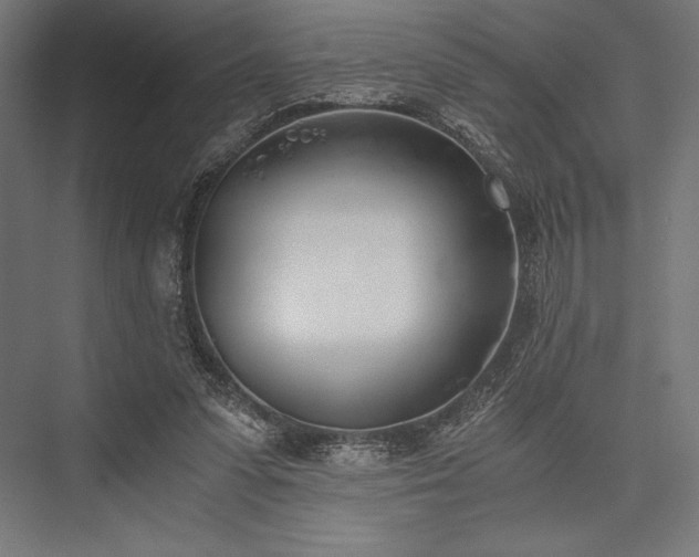 X0000076370303200610061105