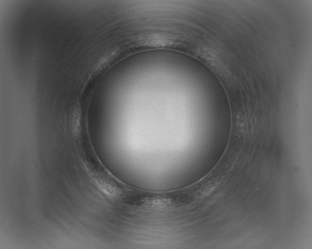 X0000076370304200610061105