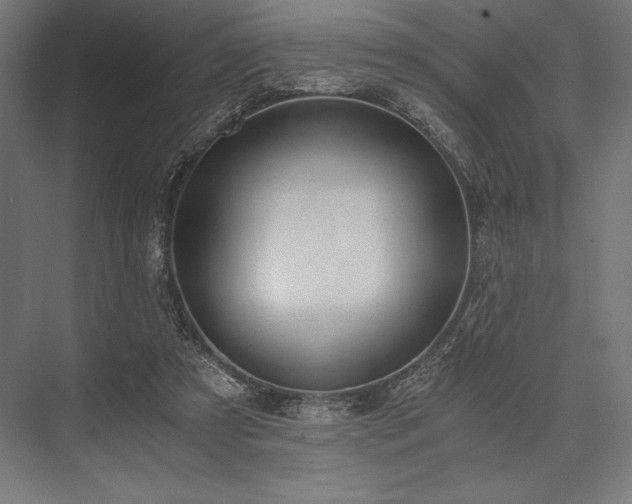 X0000076370305200610061105