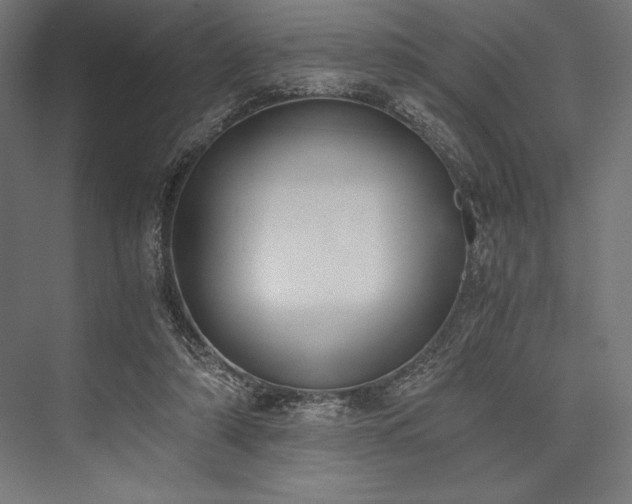 X0000076370306200610061105