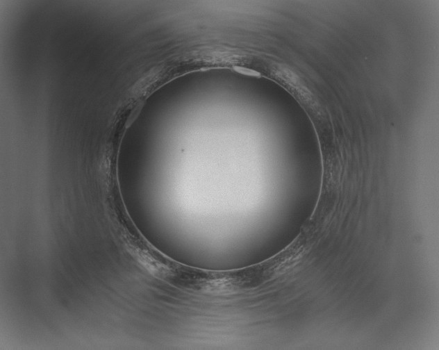 X0000076370309200610061105