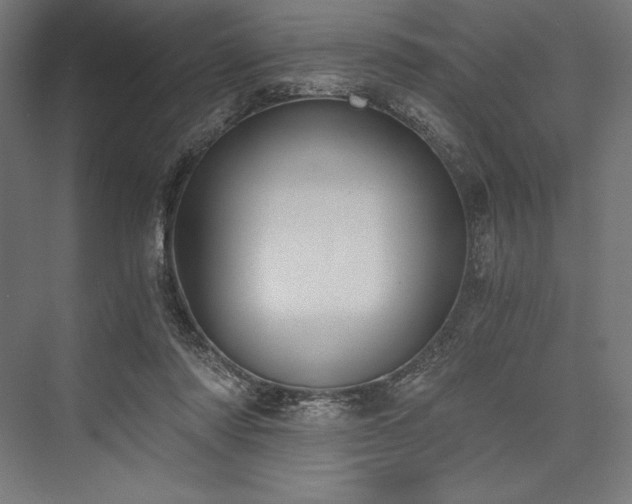 X0000076370310200610061105