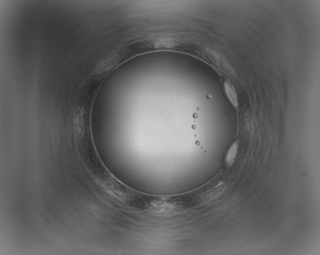 X0000076370311200610061105