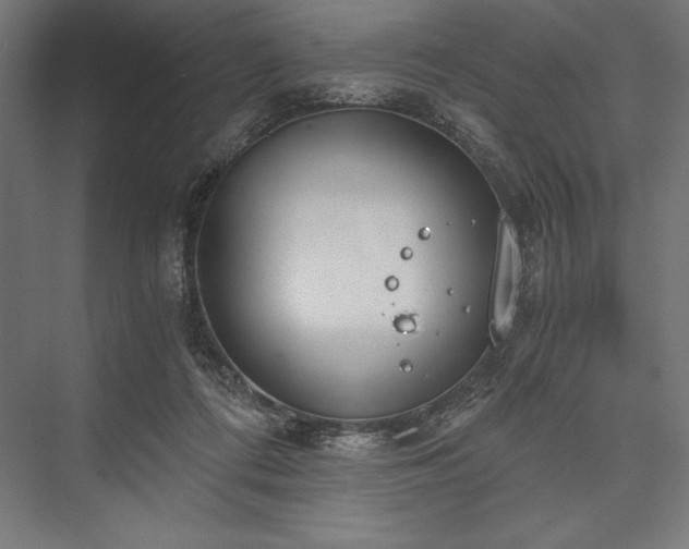X0000076370312200610061105