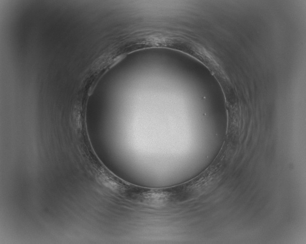X0000076370313200610061105