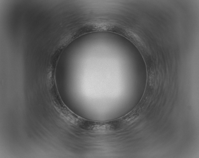 X0000076370314200610061105