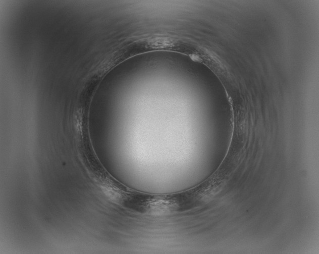 X0000076370315200610061105