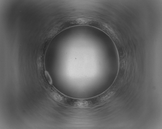 X0000076370317200610061105
