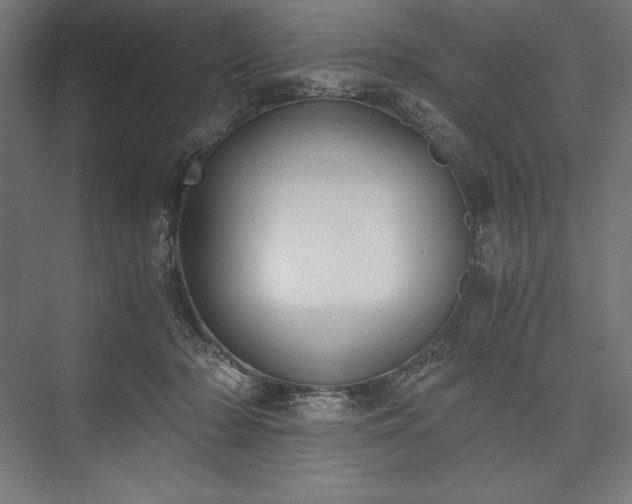 X0000076370318200610061105
