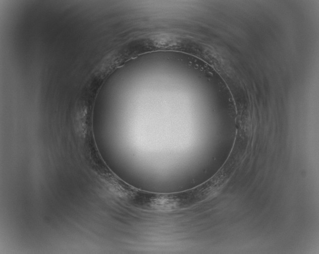 X0000076370319200610061105