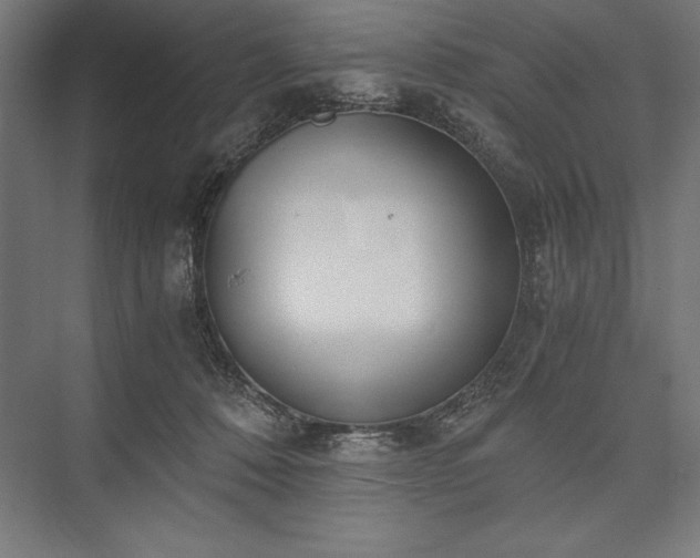 X0000076370320200610061105