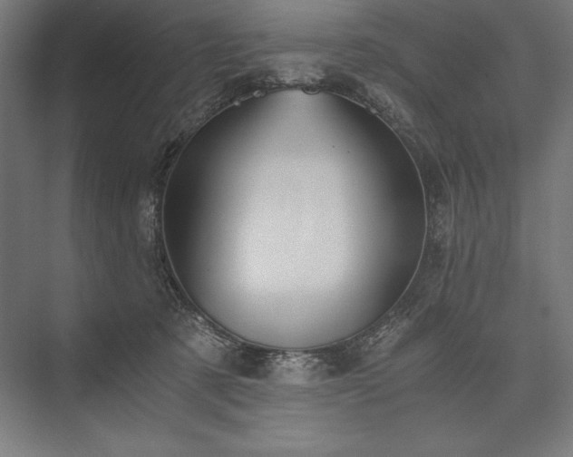 X0000076370321200610061105