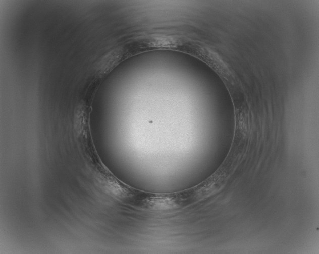 X0000076370322200610061105