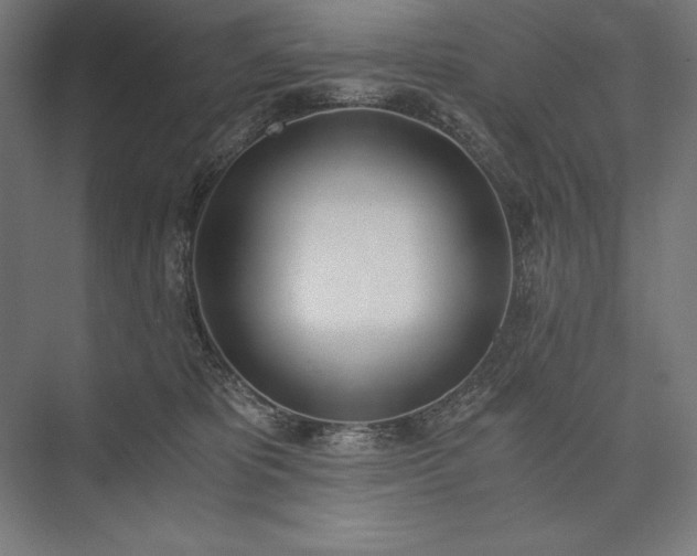 X0000076370325200610061105