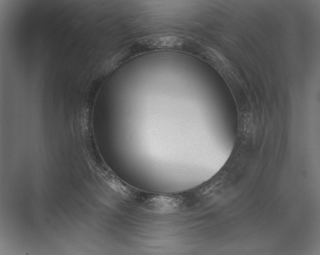 X0000076370326200610061105