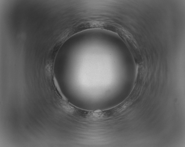 X0000076370329200610061105