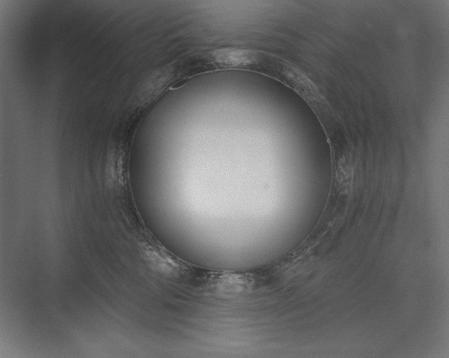 X0000076370330200610061105