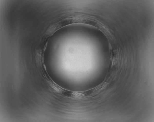 X0000076370333200610061105