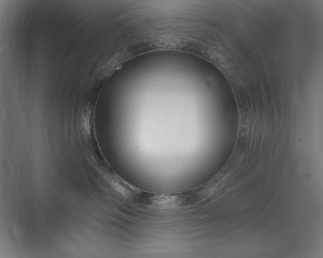 X0000076370334200610061105