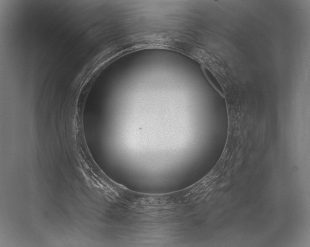 X0000076370338200610061104
