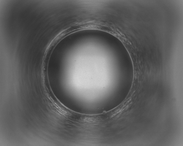 X0000076370341200610061104