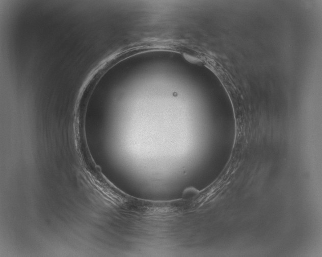 X0000076370342200610061104