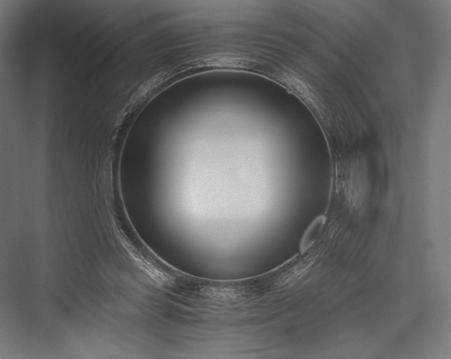 X0000076370349200610061104