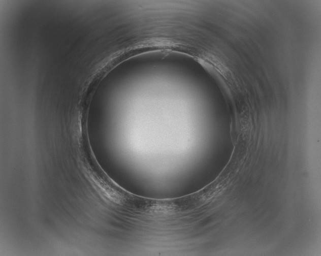X0000076370350200610061104