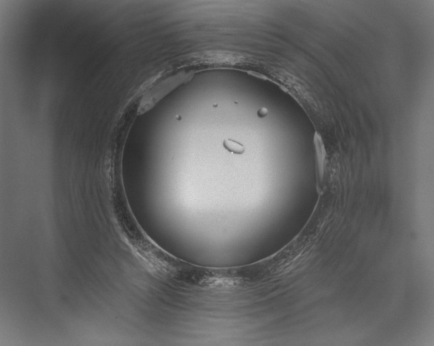 X0000076370352200610061104