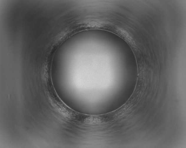 X0000076370354200610061104